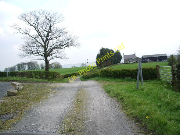 Photo 6"x4" The road to Dove Cote Hurst Green\/SD6838 c2007