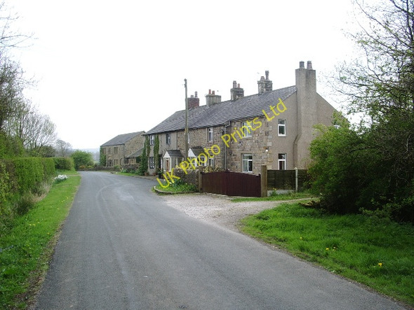 Photo 6"x4" Mason Green Great Mitton c2007