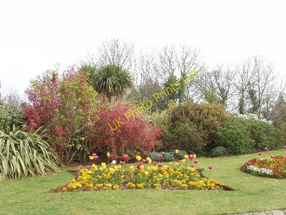 Photo 6"x4" Spring garden on Babbacombe Downs Torquay c2007