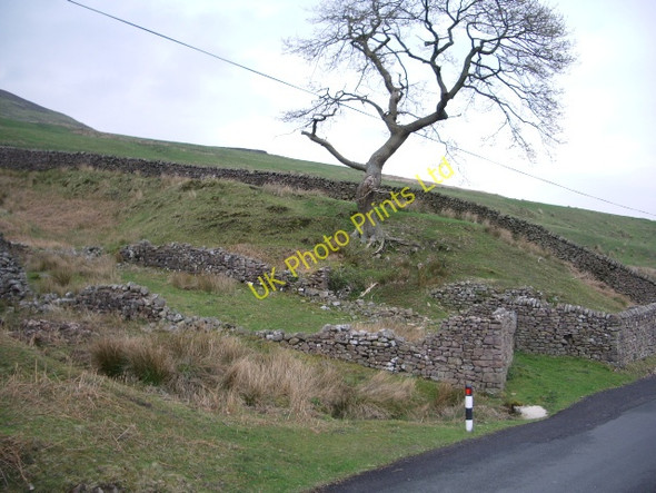 Photo 6"x4" Abandoned Sheepfold Dunsop Bridge c2007