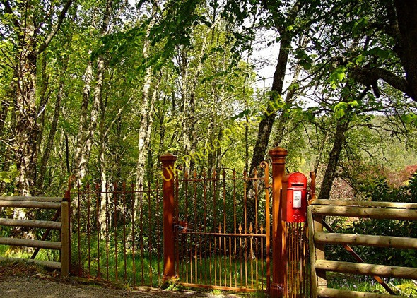 Photo 6"x4" Old Postbox at Gruinards Lodge Wester Gruinards c2007
