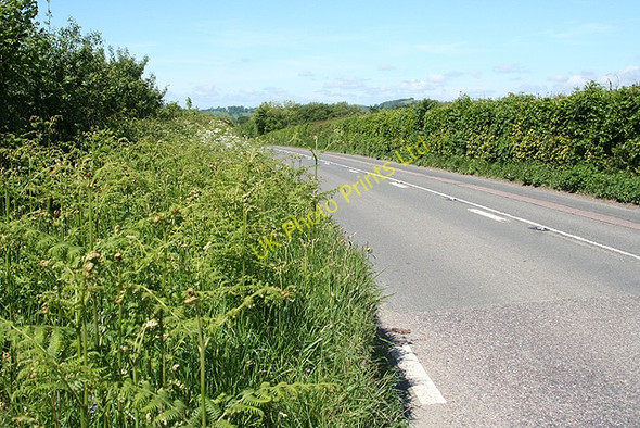 Photo 6"x4" South Molton: the road to Swimbridge South Molton c2007