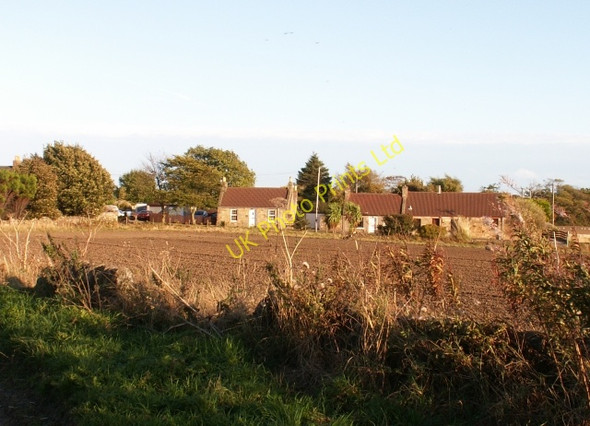 Photo 6"x4" Newton of Balcormo Newton of Balcormo c2005