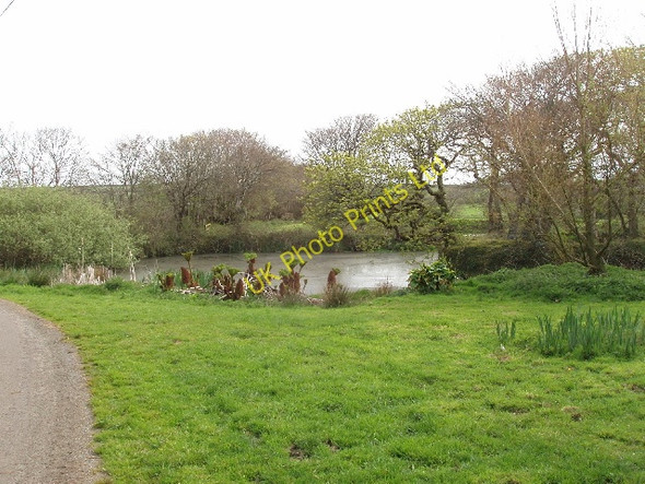 Photo 6"x4" Pond at Lee Barton Farm Woodford\/SS2113 c2007