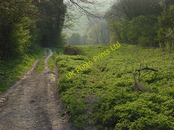 Photo 6"x4" Byway, Ogbourne St Andrew Marlborough\/SU1869 c2007