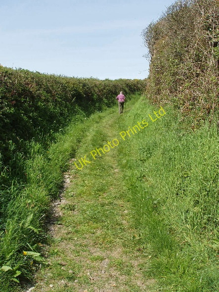 Photo 6"x4" Track to Stanbury from Stanbury Mouth Woodford\/SS2113 c2007