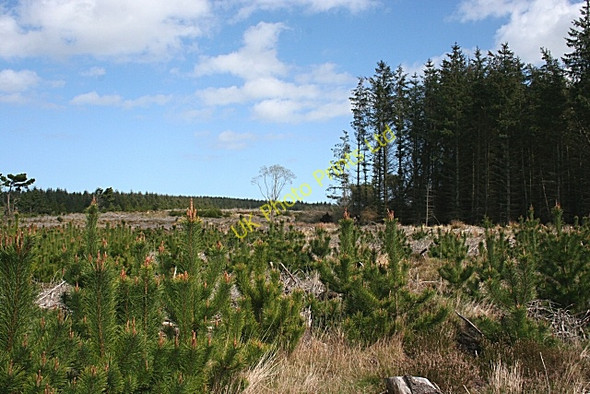 Photo 6"x4" Plaiding Knowe Grange Crossroads c2007