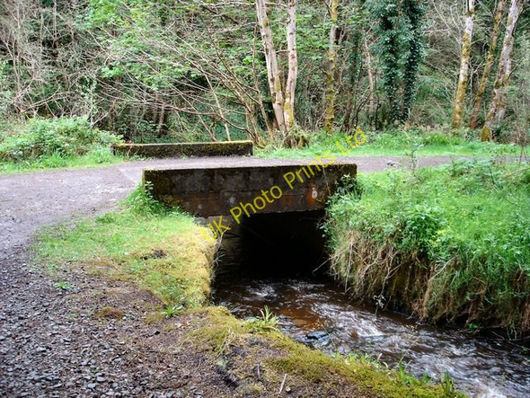 Photo 6"x4" Bridge in Muff Glen Eglinton c2007