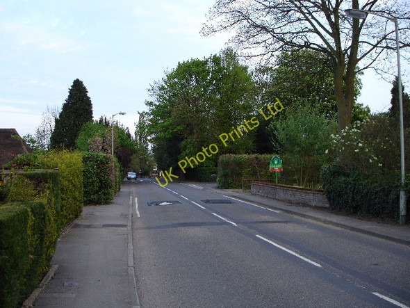 Photo 6"x4" The Street Ashford\/TR0042 c2007