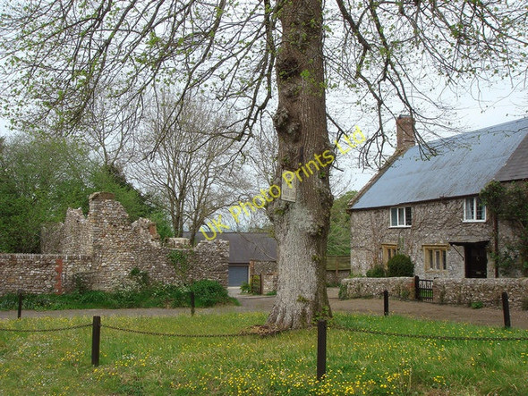 Photo 6"x4" Holditch Manor Farm and ruined church Holditch c2007