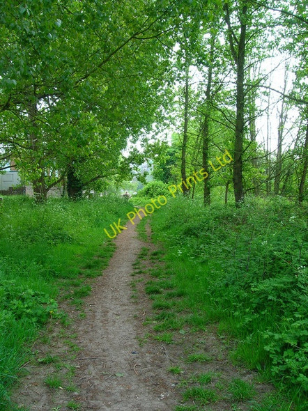 Photo 6"x4" Footpath to The Pells Lewes c2007