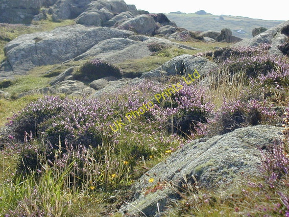 Photo 6"x4" St David's Head Rhosson c2001