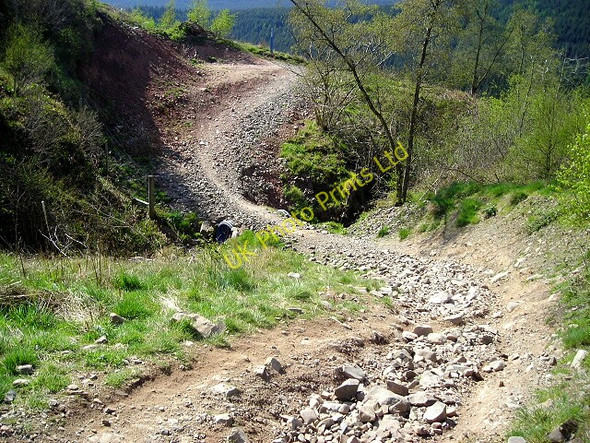 Photo 6"x4" The Ae Line Cycle Trail in Ae Forest Ae c2007