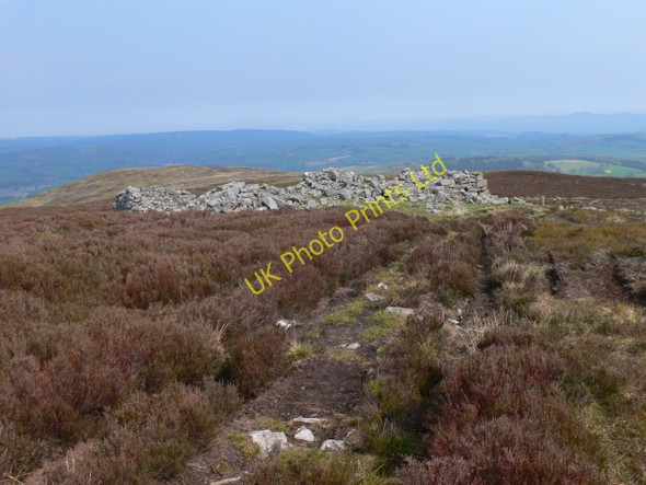 Photo 6"x4" Liberty Hall Corwen c2007