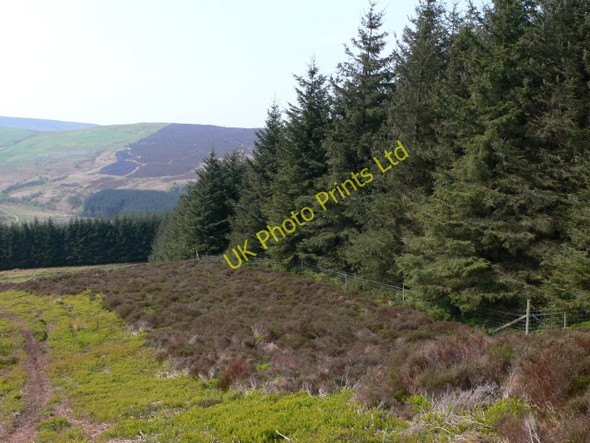 Photo 6"x4" Forestry meets moorland Nant Croes-y-wernen c2007