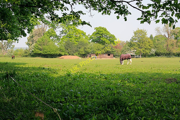 Photo 6"x4" Field between Home Lane and Locks Lane, Sparsholt Sparsholt\/SU4331 c2007