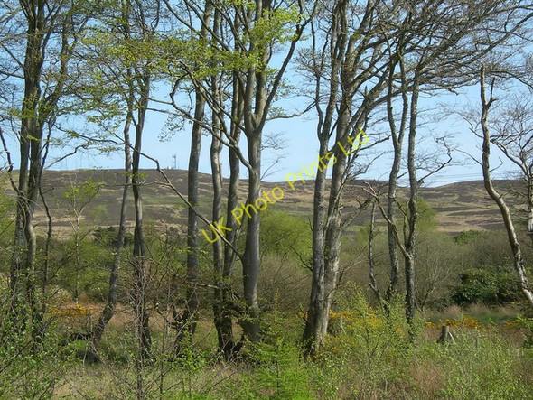 Photo 6"x4" Towards Smyrton Hill Garleffin c2007