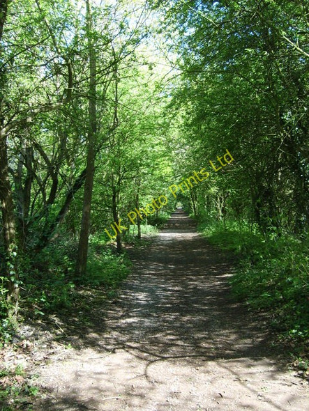 Photo 6"x4" Valley Park Path Compton\/SO8898 c2007