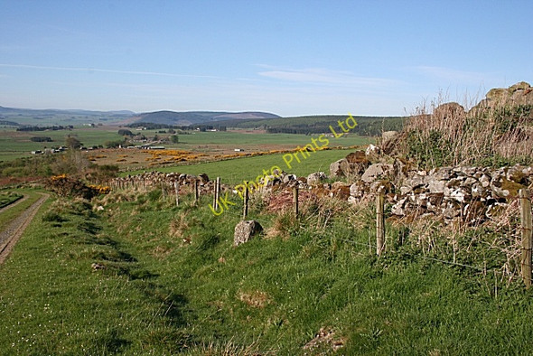 Photo 6"x4" Boulder dyke Knockbog c2007
