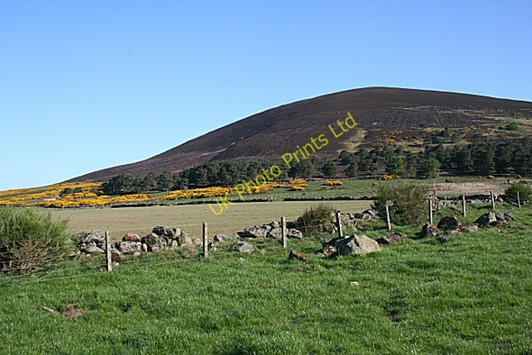 Photo 6"x4" Knock Hill Knockbog c2007