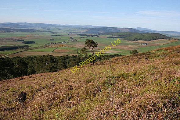 Photo 6"x4" Bracken Howe Knockbog c2007