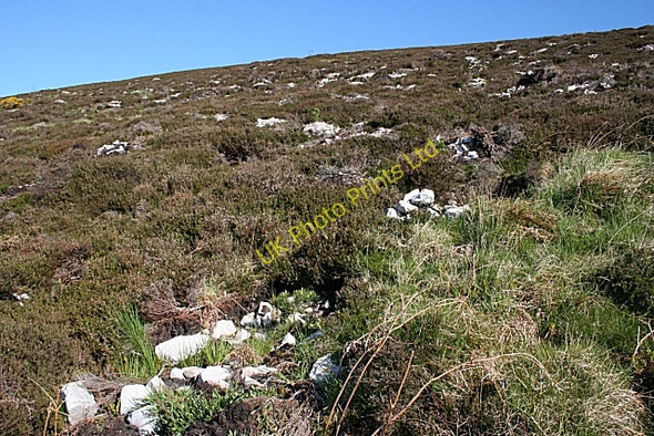 Photo 6"x4" Knock Hill Knockbog c2007