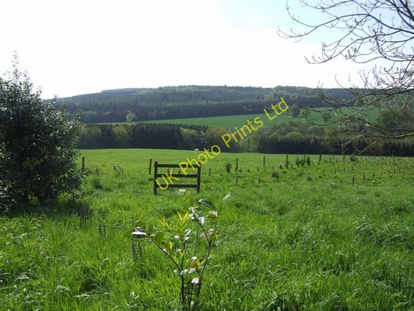 Photo 6"x4" Footpath to Barrow Dingle Barrow\/SJ6500 c2007