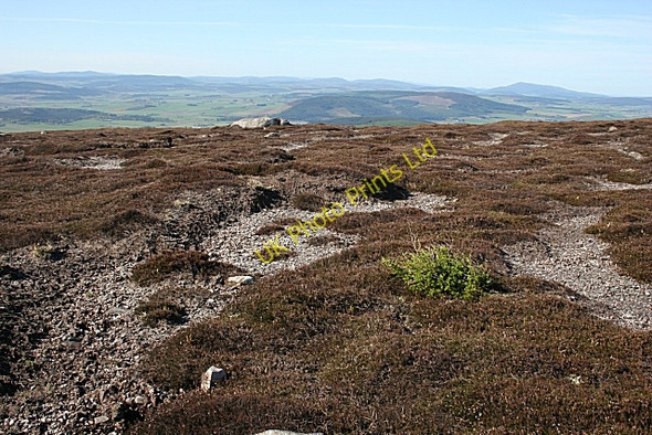 Photo 6"x4" Summit of Knock Hill Knockbog c2007
