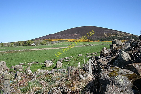 Photo 6"x4" Whitehill and Knock Hill Knockbog c2007