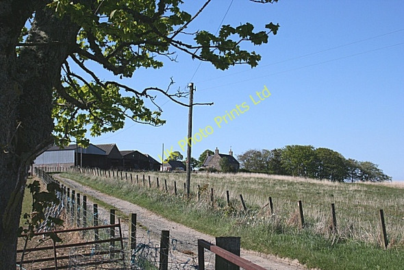 Photo 6"x4" Little Toux Brodiesord c2007