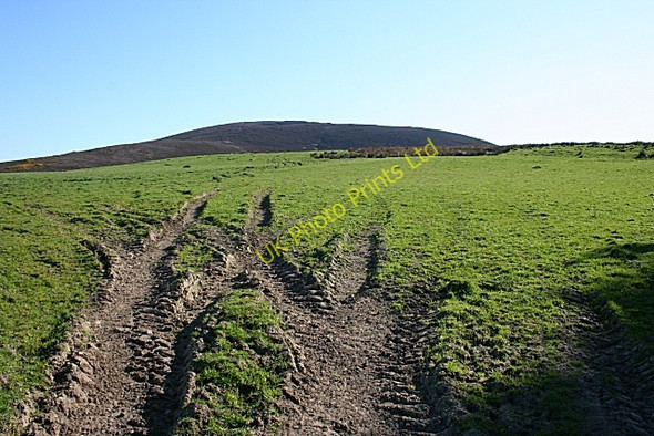 Photo 6"x4" Barnyards of Badenyouchers Knockbog c2007