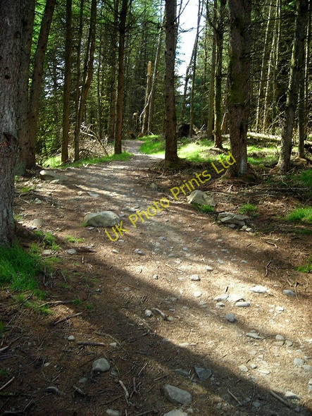 Photo 6"x4" Ae Line Cycle Trail Holehouse\/NX9994 c2007