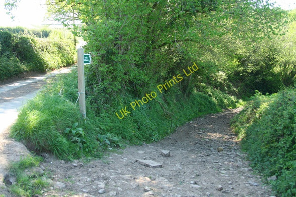 Photo 6"x4" Chulmleigh: bridleway at Spittle Elstone c2007