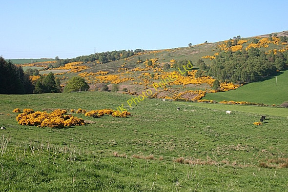 Photo 6"x4" Rothes Glen Fogwatt c2007 P3