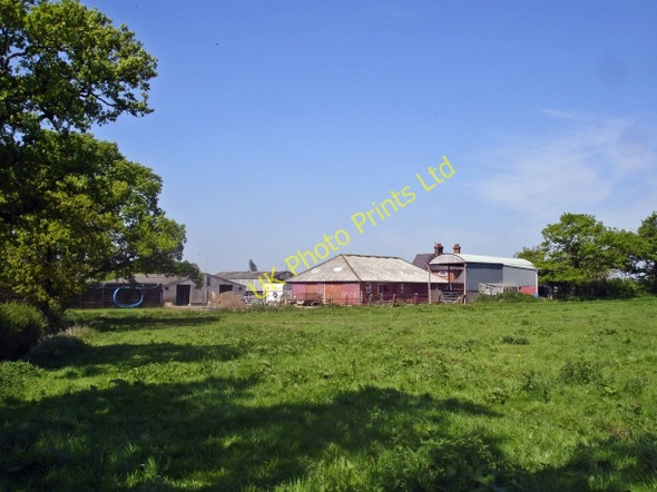 Photo 6"x4" New House Farm Manley\/SJ5071 c2007
