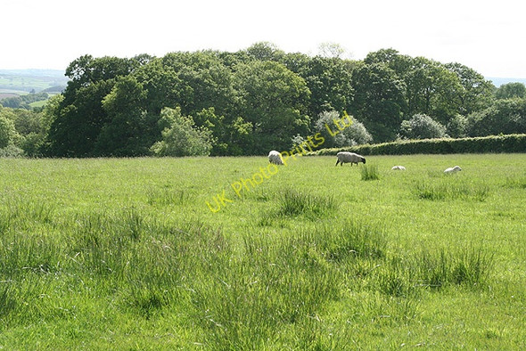 Photo 6"x4" Swimbridge: by Tower Moor Cross East Stowford c2007