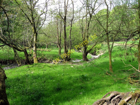 Photo 6"x4" Nant Melai Ty'r-felin-isaf c2007