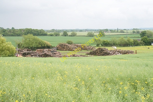 Photo 6"x4" Timber, Danemoor Marl Bank c2007