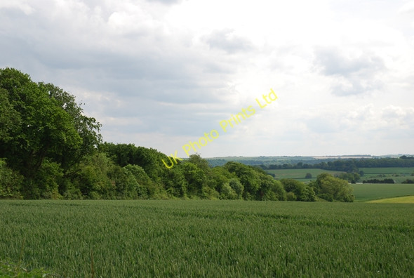 Photo 6"x4" Treeline leading to Oakley Copse Teffont Magna c2007