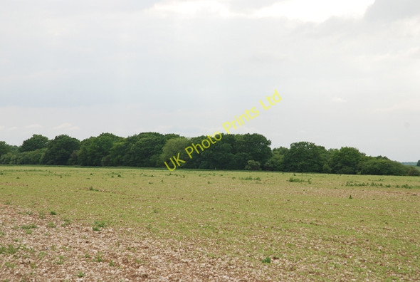 Photo 6"x4" Hanging Langford Camp Wylye c2007
