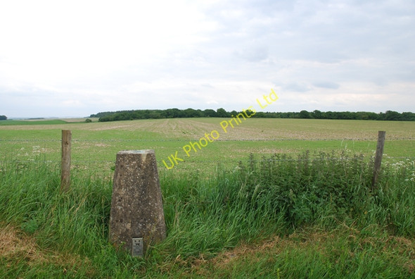 Photo 6"x4" Trig point north of Dinton Beeches Wylye c2007