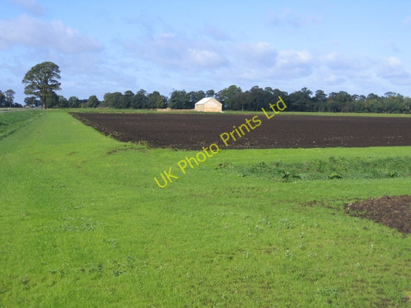 Photo 6"x4" Bukehorn Road, Thorney, Cambs Nene Terrace c2005