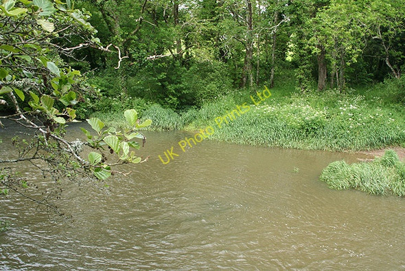 Photo 6"x4" Werrington: river Tamar Bridgetown\/SX3489 c2007