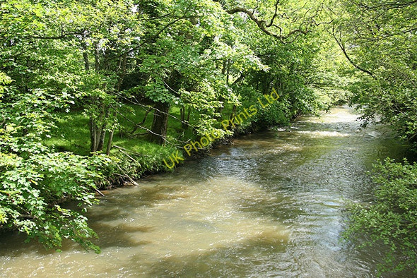 Photo 6"x4" Werrington: river Tamar Bridgetown\/SX3489 c2007 P1