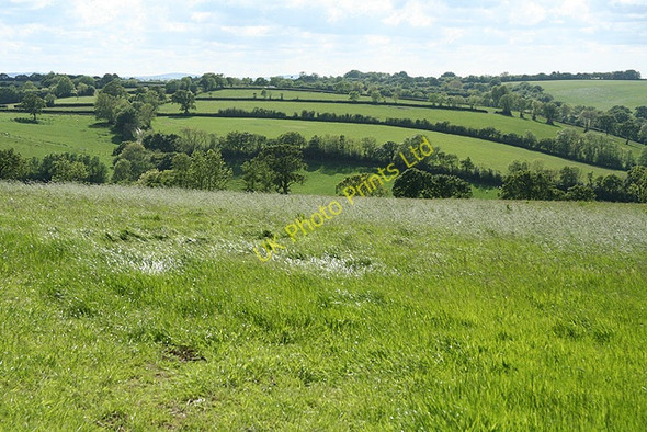 Photo 6"x4" Broadwoodwidger: on Broadwood Down Broadwoodwidger c2007