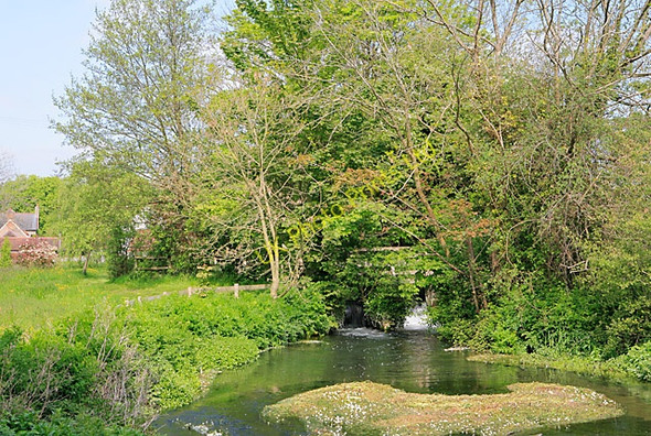 Photo 6"x4" Weir on River Meon at Exton Corhampton c2007