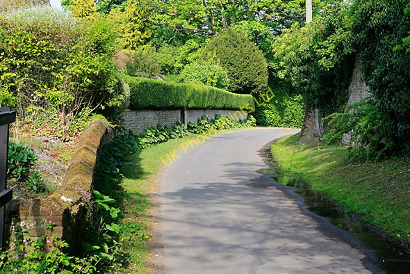 Photo 6"x4" Luxuriant greenery in Church Lane, Exton Exton\/SU6121 c2007