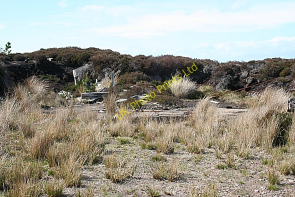 Photo 6"x4" Moss of Stonyhill Brylach Hill c2007