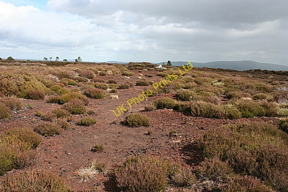 Photo 6"x4" Moss of Stonyhill Brylach Hill c2007 P1