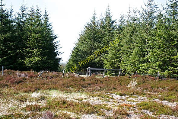 Photo 6"x4" Brylach Hill Brylach Hill c2007